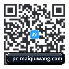 Android 系统版 二维码
